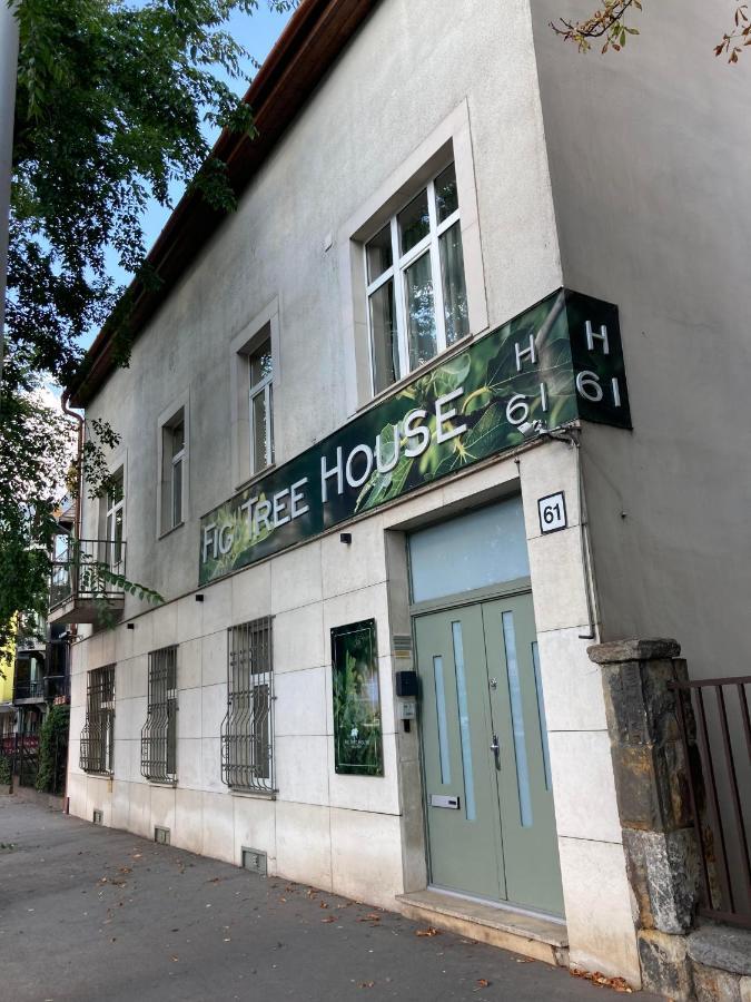Fig Tree House בודפשט